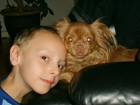 Blanding af racer Mica  R.I.P. - Dig og mig og vi to!!! billede 6