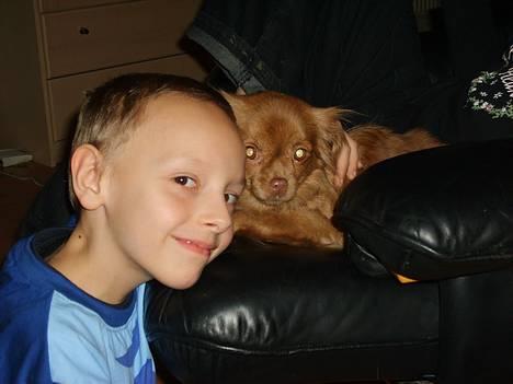 Blanding af racer Mica  R.I.P. billede 10