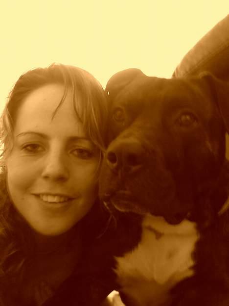 Amerikansk staffordshire terrier Rocko - mig og mor.... billede 5