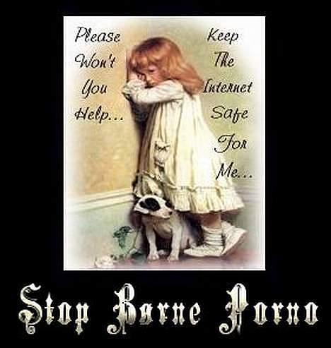 Amerikansk staffordshire terrier +max+ billede 18