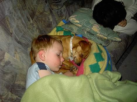 Blanding af racer Luna - Her bliver jeg brugt til hovedpude af min gode ven nikolai billede 12