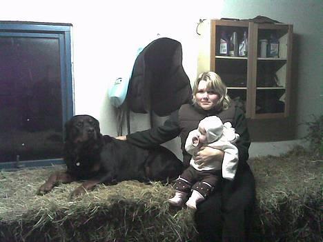 Rottweiler Brotus R.I.P billede 11