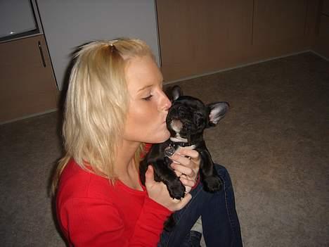 Fransk bulldog FreYa - sammen med mor.. :D billede 17