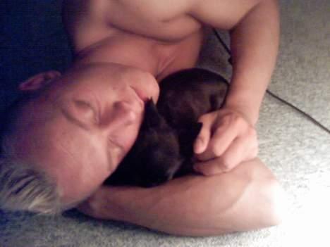 Fransk bulldog FreYa - sammen med far.. :D billede 18