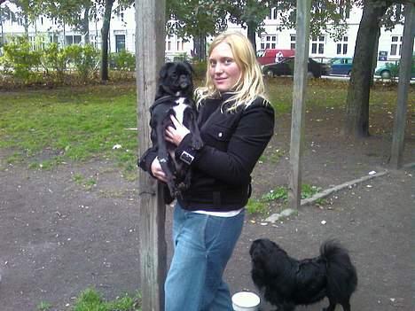 Blanding af racer Tipo - mor er den bedste billede 6