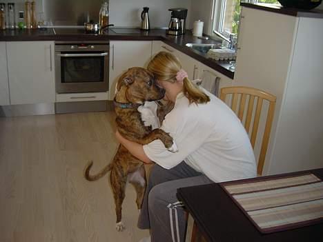 Blanding af racer Ronja - Ronja med sin mor billede 13