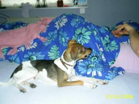 Blanding af racer oscar - spiser nødder sammen méd far... muuuuummms billede 8