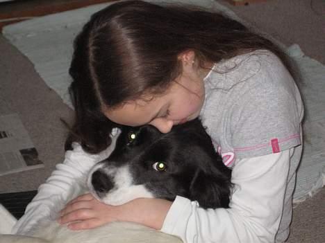 Blanding af racer Boss (himmelhund) billede 9