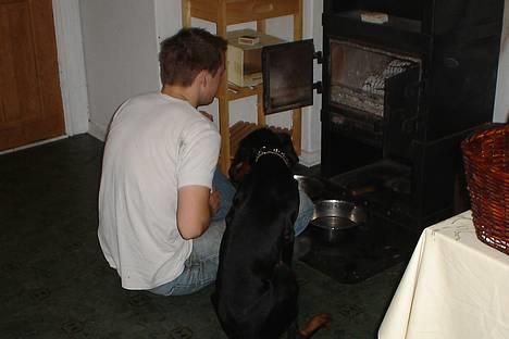 Dobermann Sille R.I.P  22-07-2008 - sidder lige og koger foran brændeovnen det er simpelthen silles yndlings beskæftigelse . når ik hun gider ligge på badeværelset med gulvvarme.. billede 4