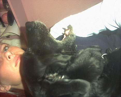 Blanding af racer Juvel 6/3-98 - †14/6-10† - Jeg spiser dig, eller 8) billede 15