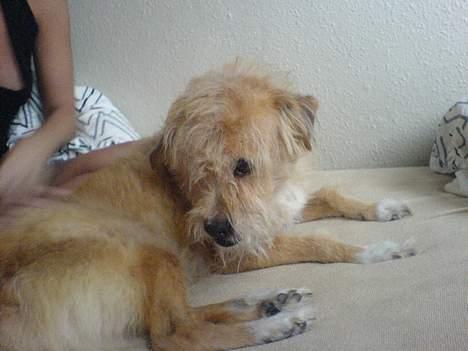 Blanding af racer Mads - Se lige min fritz.. Den er sej, ik?? billede 11