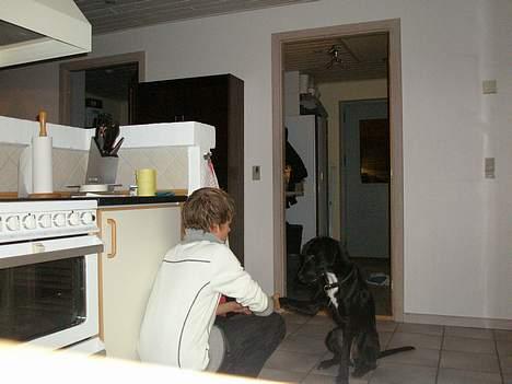 Blanding af racer Maggie - Maggie giver pote. billede 4