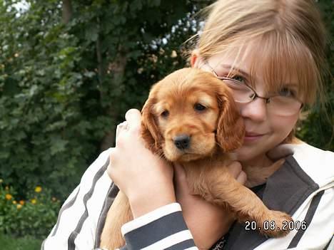 Cocker spaniel Frida -  Her møder Mia og jeg hinanden for første gang. billede 7