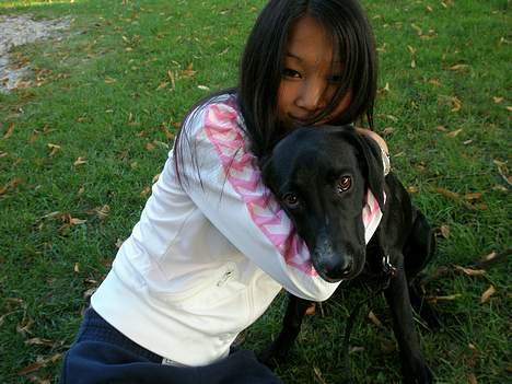 Blanding af racer Maggie - Maggie & en af ejerens veninder. billede 9