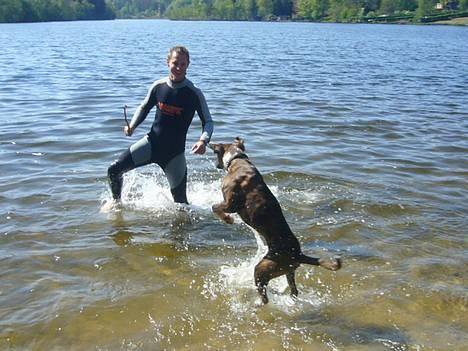 Boxer Gizmo - Badetid billede 17