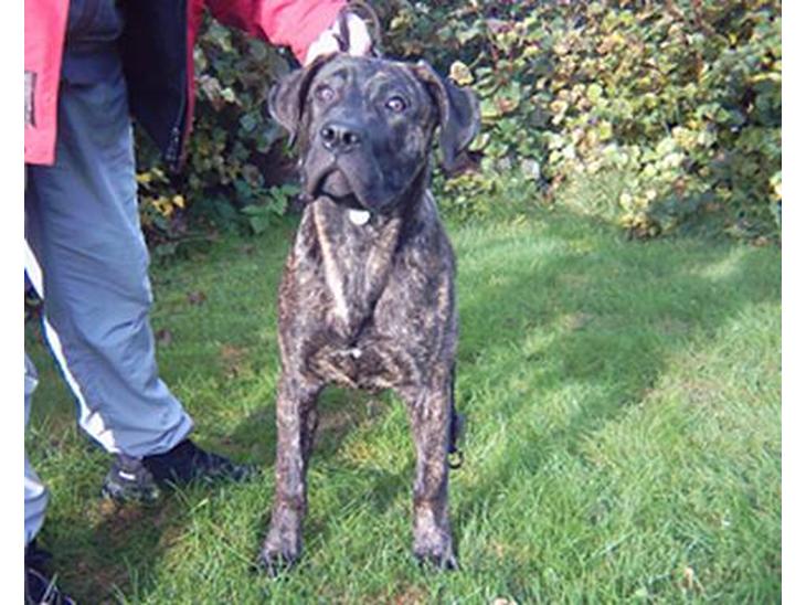 {{currentPhoto.altText}} billede {{currentPhoto.number}}