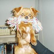 Blanding af racer Baily