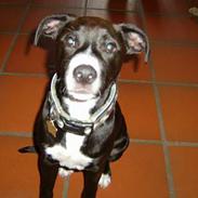 Blanding af racer Louis