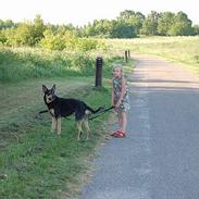 Blanding af racer Chico - R.I.P