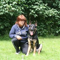 Schæferhund Dj'appes Lea R.I.P