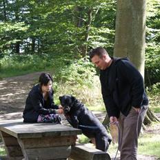 Rottweiler Bjørn-Aflivet 28/6-2012