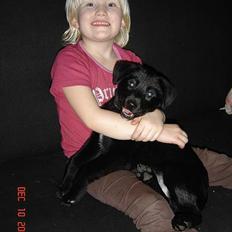 Blanding af racer Fakira