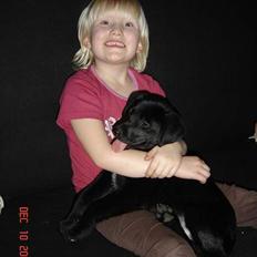 Blanding af racer Fakira