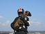 Boxer Gizmo - MC-hund