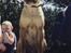 Shar pei Woody