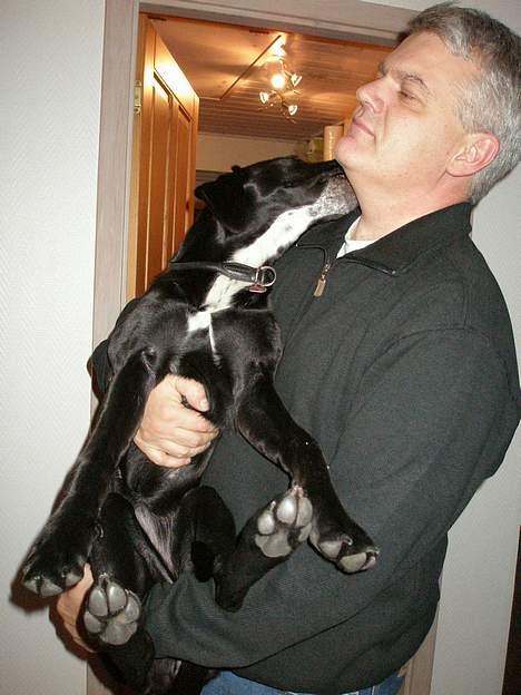 Blanding af racer Maggie billede 11