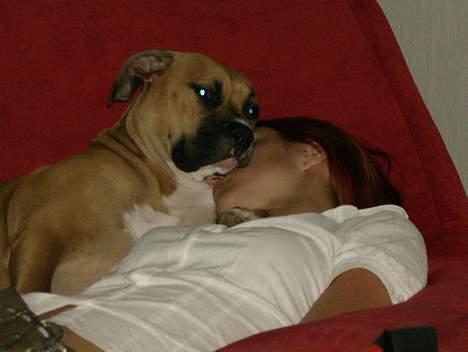 Blanding af racer Lola - Jeg passer godt på min mor billede 5