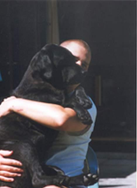 Labrador retriever Luna 1993 - 2006 billede 11