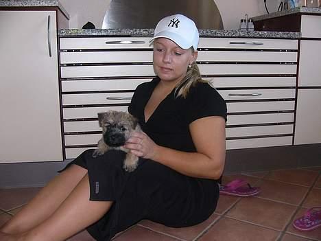 Cairn terrier Frida (r.i.p) - putter mig ved søs der er så meget nyt billede 3