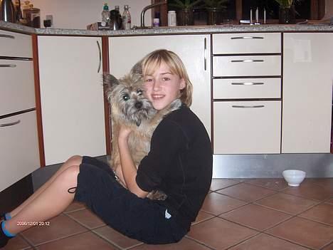 Cairn terrier Frida (r.i.p) - nu er jeg blevet en stor pige på ca 7 mdr og jeg hygger med søs amalie billede 8