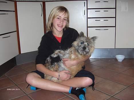 Cairn terrier Frida (r.i.p) - jeg er en lille baby hihi billede 12