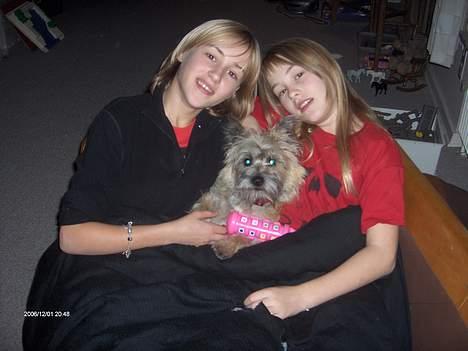 Cairn terrier Frida (r.i.p) - her fredags hygger vi på sofaen der er ikke så meget plads emn det er ren hygge billede 14