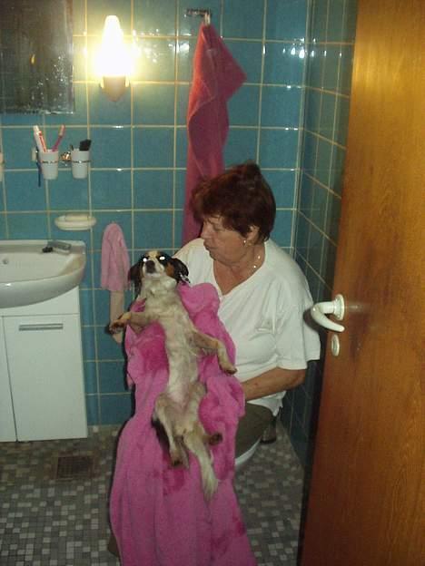 Blanding af racer Mollypigen - se dette er jo råhygge billede 6