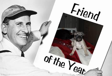 Mops Haley - Jeg er da bare for sej billede 8