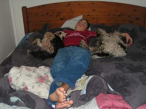 Tibetansk terrier Pumpa (Død d. 01/02-07) billede 12