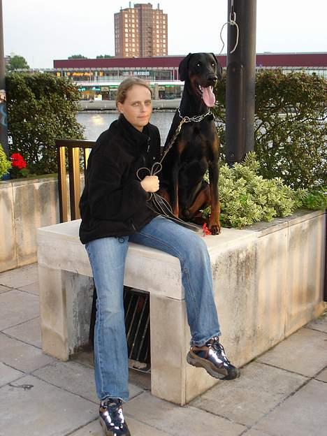 Dobermann Fox Vom Löven Dom/ Mozart - mor og mig i frankrig billede 18