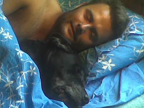 Blanding af racer Freya billede 2