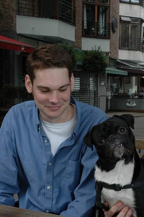 Mops Lord Kelvin - Er det her et godt fotosmil? billede 2