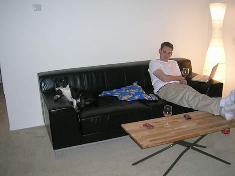 Mops Lord Kelvin - Som ejer så hund eller er det omvendt? billede 7