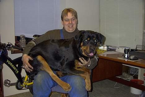 Rottweiler Balder - Aflivet. R.I.P! - Der altid plads til Balder billede 18