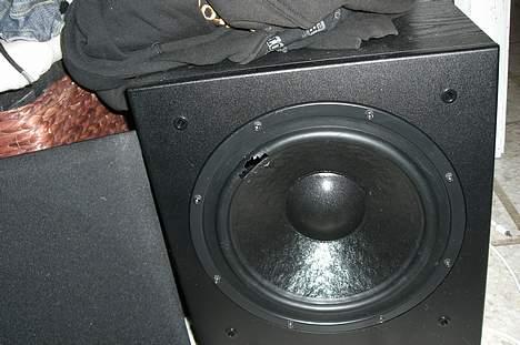 Blanding af racer Mille - dejligt at ha hvalp igen havde helt glemt hvor dejligt det er billede 17