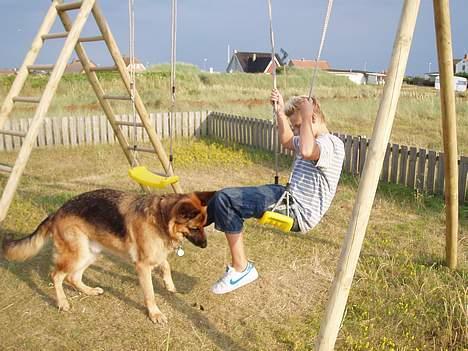 Schæferhund kanto - den legesyge hund og min bror. man fik aldrig lov til at gynge alene:P elsker ham stadig<3 MEGET<3<3<3<3<3<3<3<3<3<3<3<3<3<3<3<3<3<3<3<3<3<3<3<3<3<3<3<3<3<3<3<3<3<3<3<3<3<3<3<3<3<3<3<3<3<3<3<3<3<3<3<3<3<3<3<3<3<3<3<3<3<3<3<3<3<3<3<3<3<3<3<3<3<3<3<3<3 billede 14