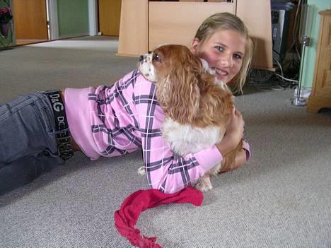 Cavalier king charles spaniel † Debbie † - Kraam ! :D billede 3