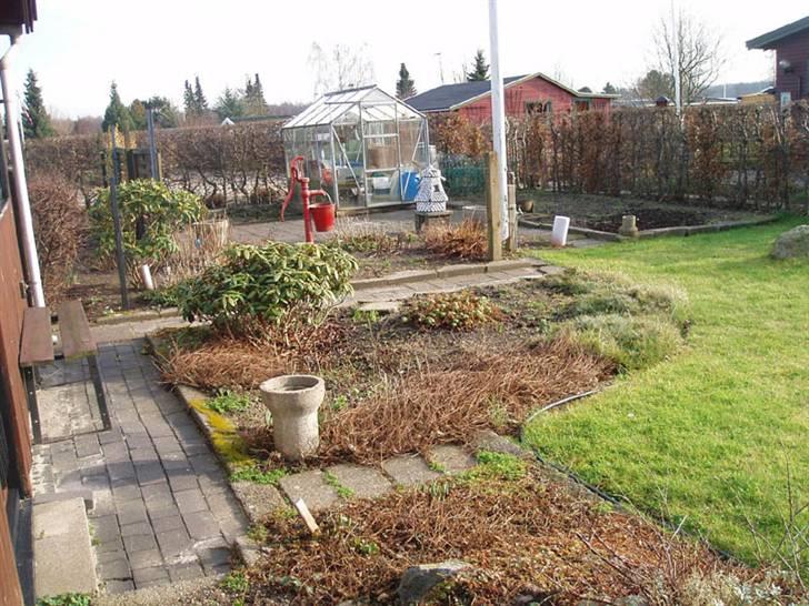 Fransk bulldog Buller - Nå men hvis Fie ikke må,så er det godt jeg kan selv. billede 7