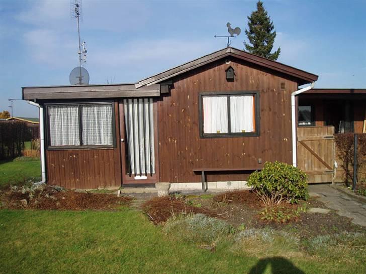 Fransk bulldog Buller - Og hvad,,,,,,, så kan jeg s.. også lige så godt gå i seng. billede 8