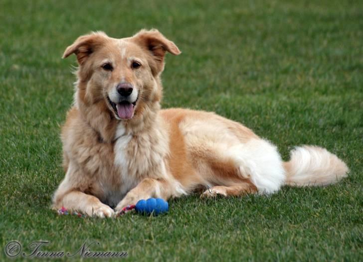 Blanding af racer tøsen - skal vi så lege, eller hvad. billede 1